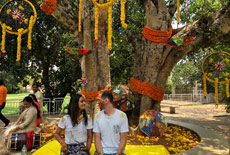 Wedding Resorts in Bangalore