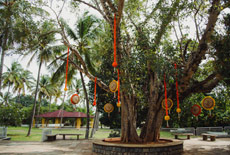Outdoor Wedding Venues in Bangalore