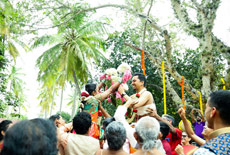  Wedding Venues in Bangalore