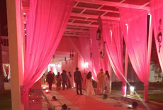 Best Outdoor Wedding Venues