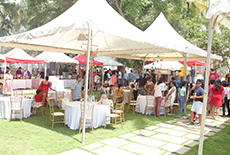 Best Destination Wedding Venues